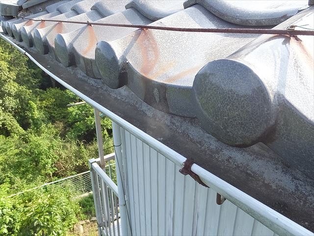 軒先の雨樋を確認